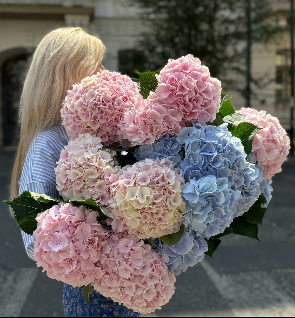 Bukiet Kwiatów Hortensje - kwiaty Flower Store Warszawa
