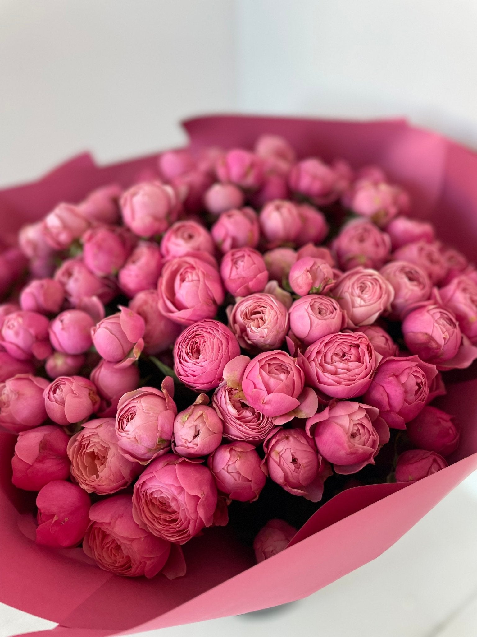 Róże gałązkowe Peoniowe - kwiaty Flower Store Warszawa