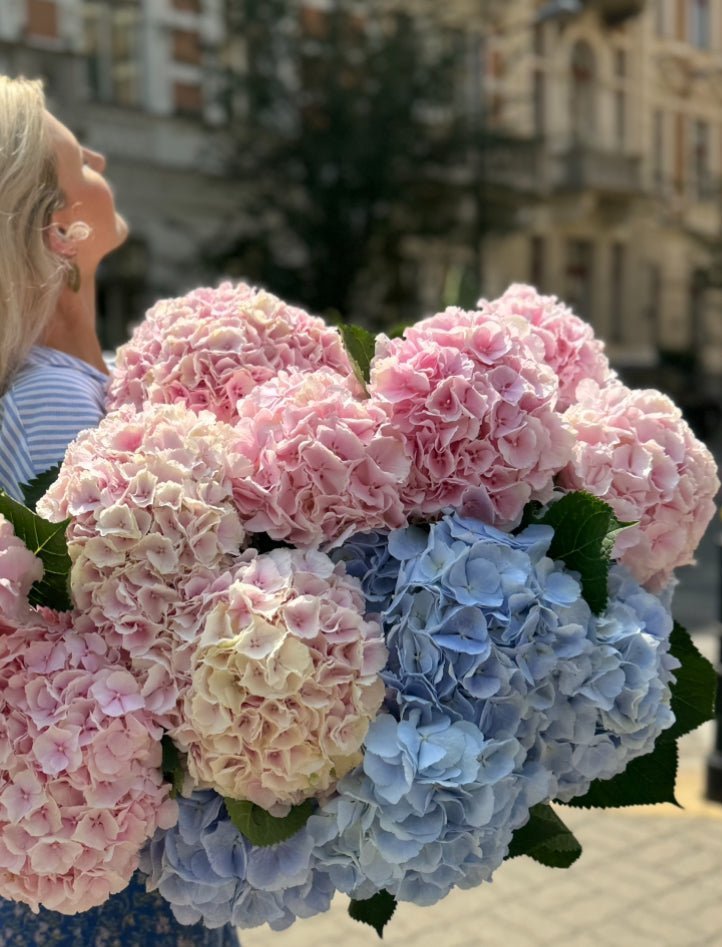 Bukiet Kwiatów Hortensje - kwiaty Flower Store Warszawa