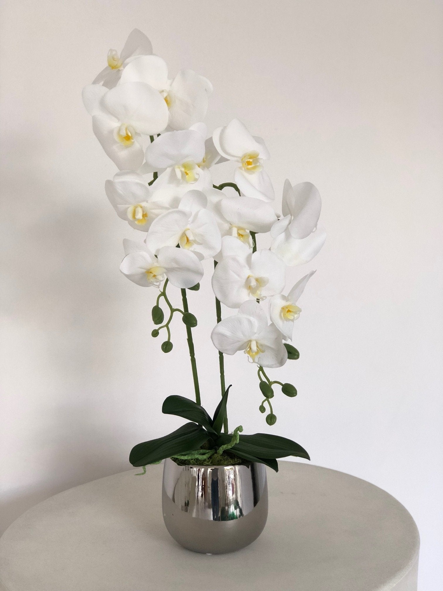 Ekskluzywny mały storczyk w srebrnej donicy - kwiaty sztuczne - kwiaty Flower Store Warszawa