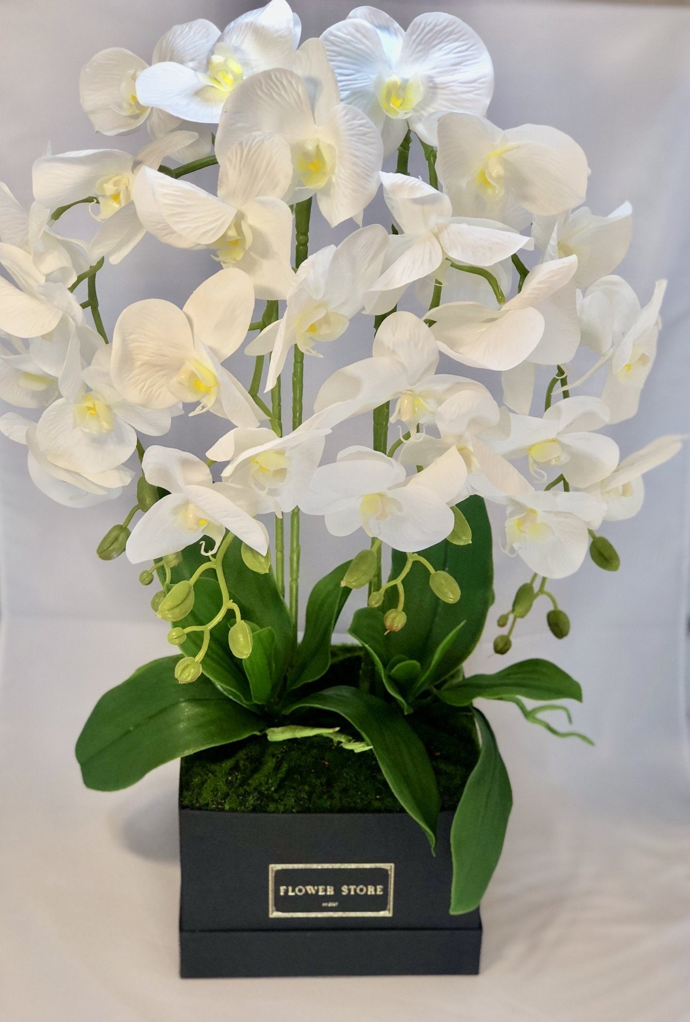 Flowerbox ze Sztucznymi Storczykami – Czarne Pudełko, Trwałe Piękno - kwiaty Flower Store Warszawa